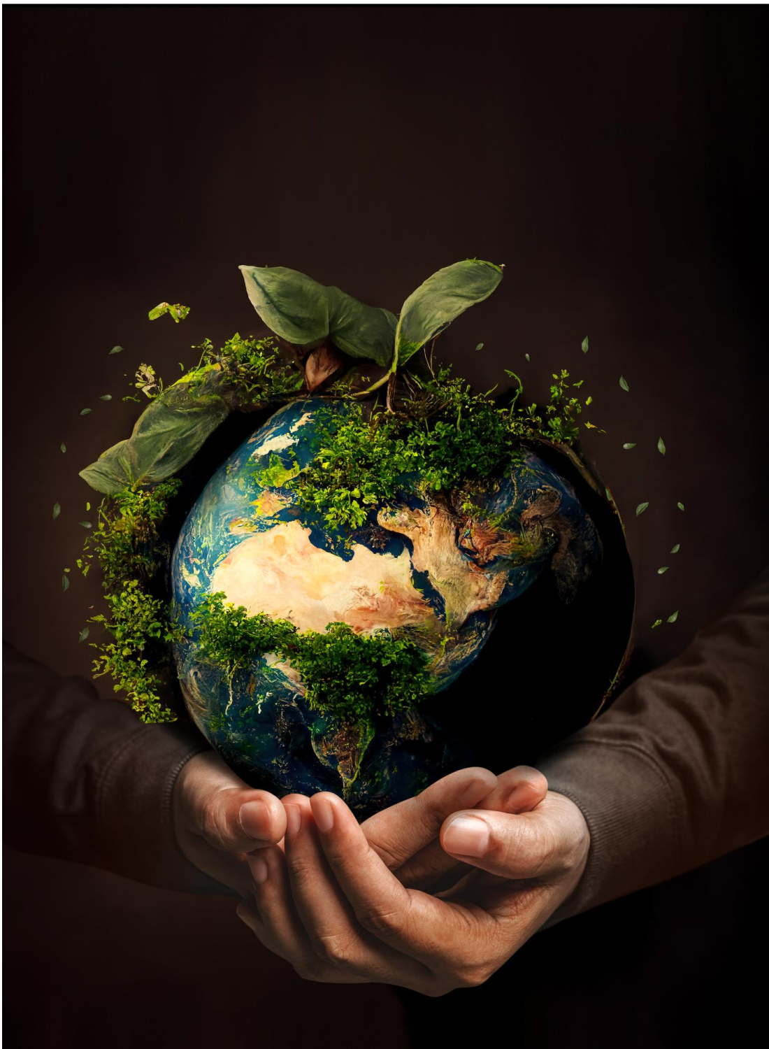 How do Eco-Friendly Products Really Help the Environment?