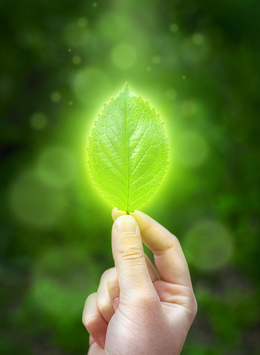 Benefits of Eco-Friendly products